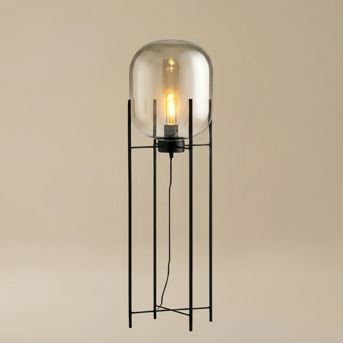 Designer Floor Lamp – Clear Glass & Metal Elliptical Design for Living Room