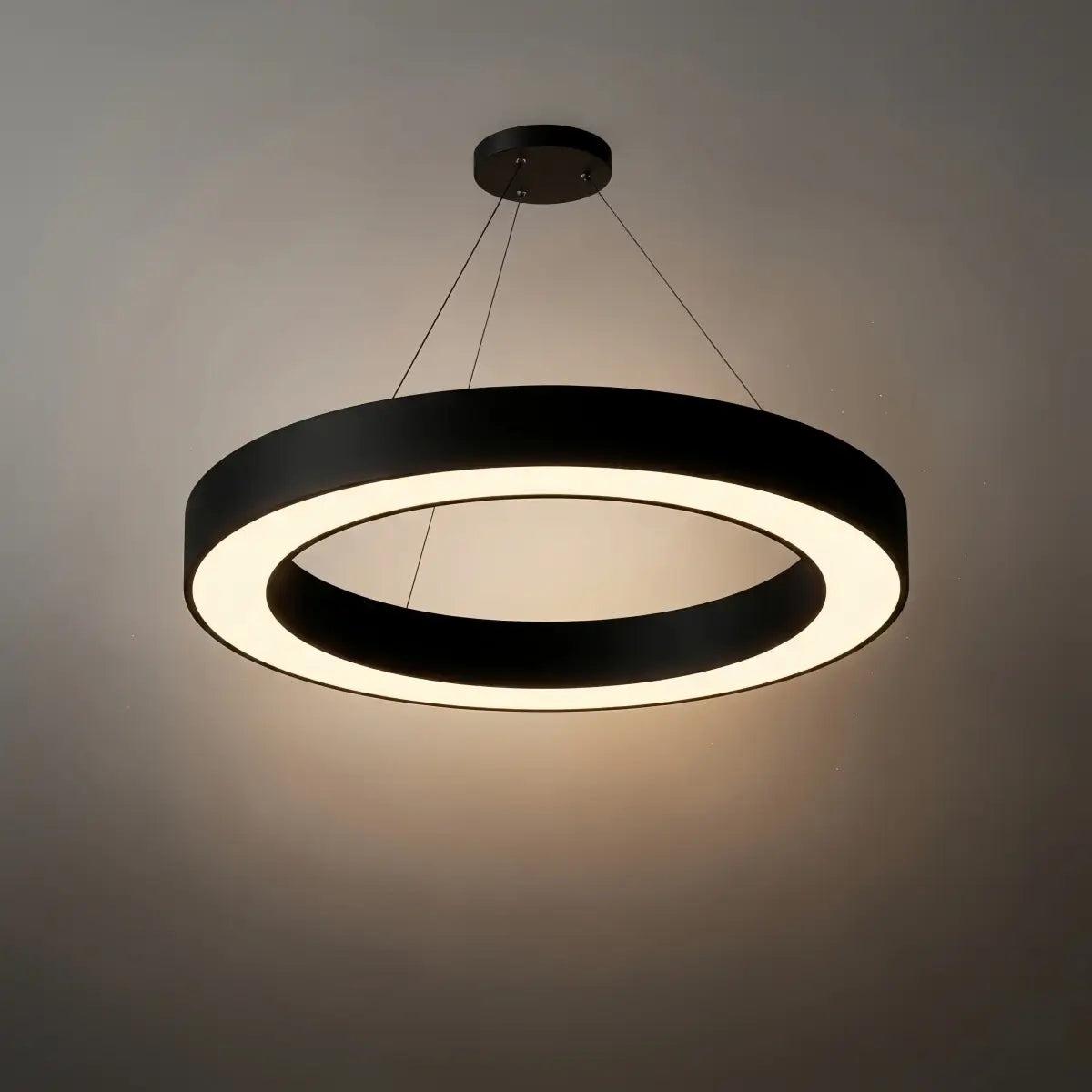 Embrace Modern Ring Pendant Light