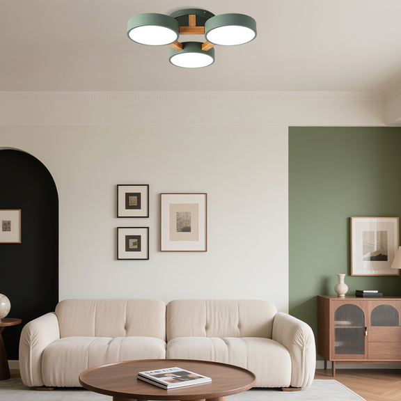 Minimalist Round Green Ceiling Light for Living Room