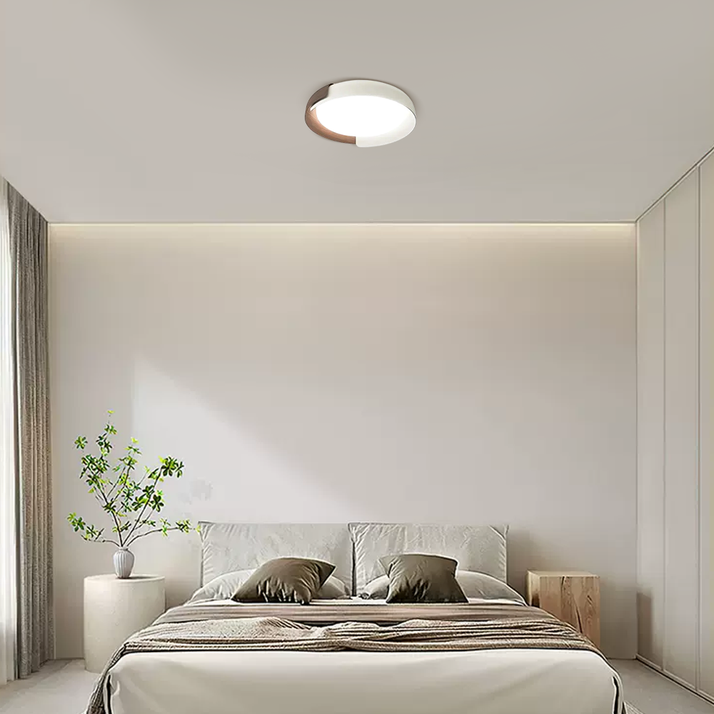 Modern Round Flush Mount Ceiling Light