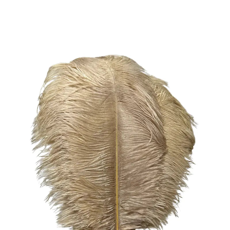 Close-up Khaki Feather