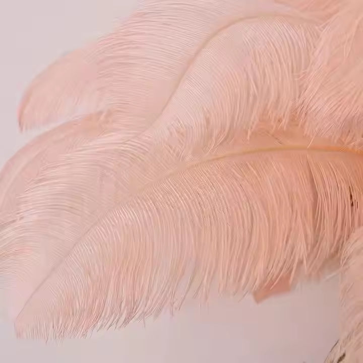 Close-up Pink Feather