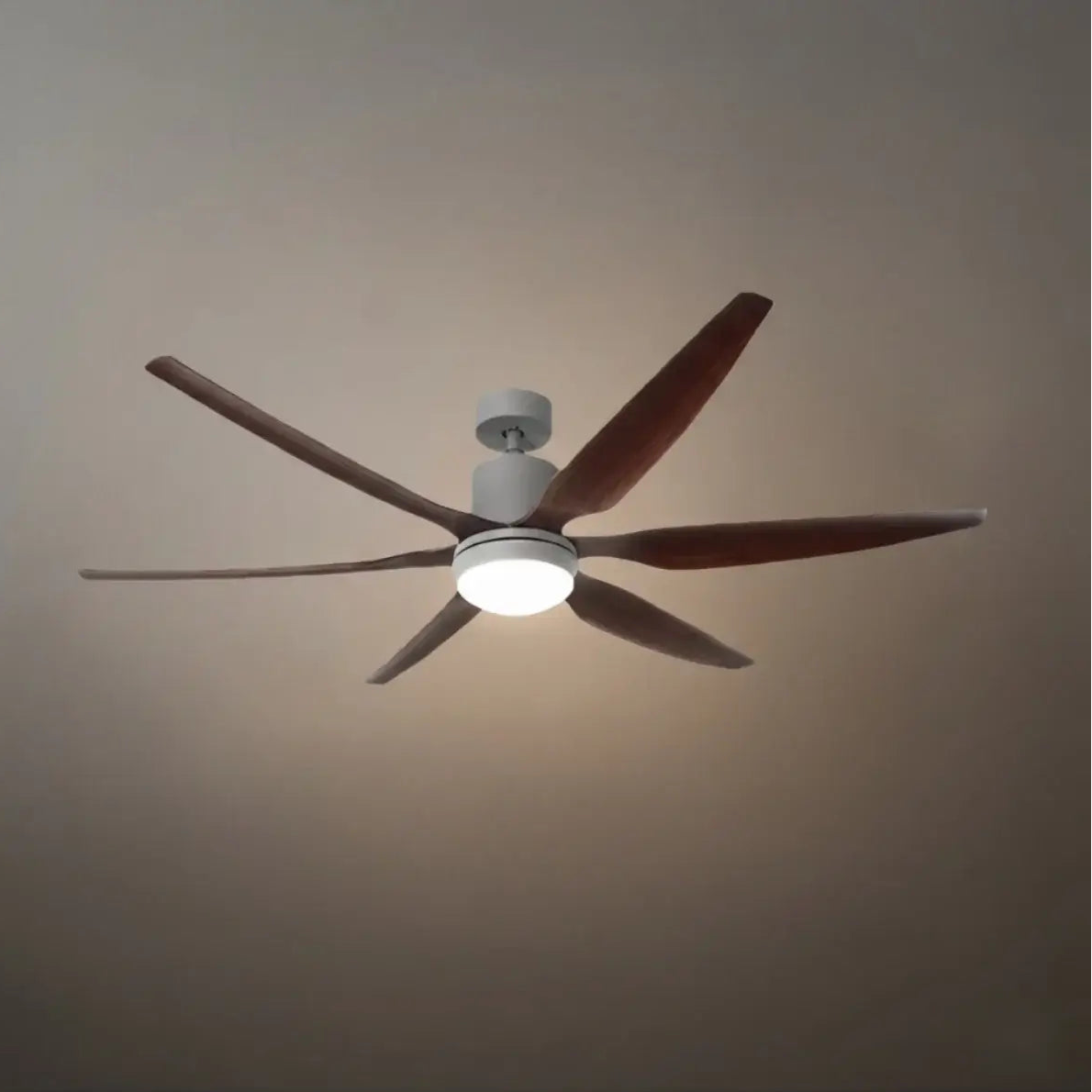 Morandia Modern Ceiling Fan Light