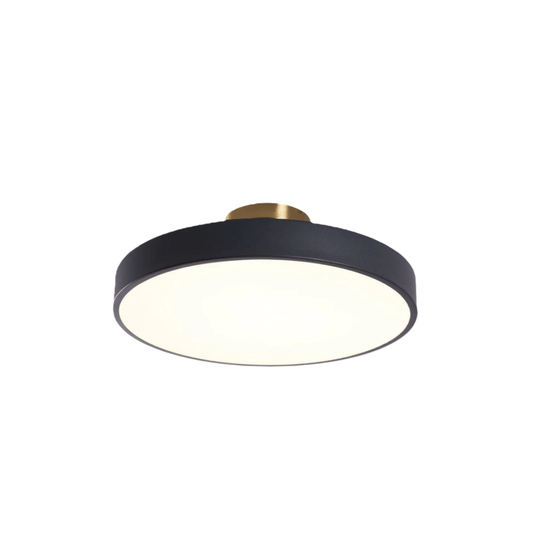Modern Flush Mount Ceiling Light