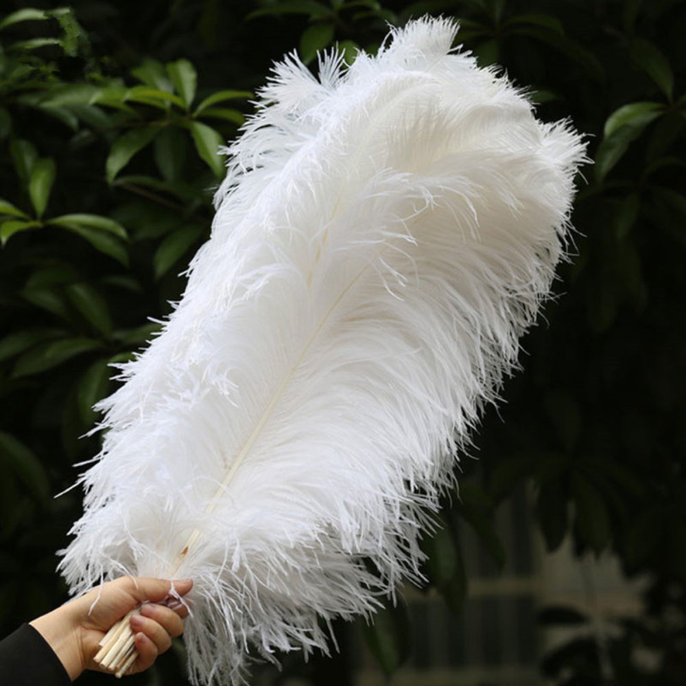 Nordic Feather Floor & Table Lamp