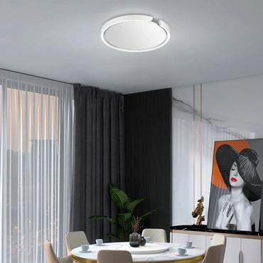 Ceiling Light for Bedroom/Living Room