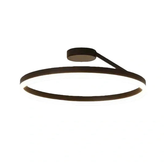 Modern Circular Flush Mount Ceiling Light