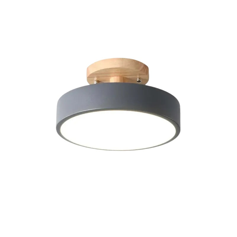 Ceiling_Light