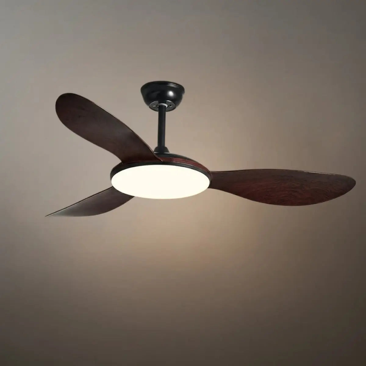 Zenno Modern Ceiling Fan Light