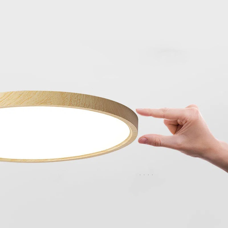 Modern Ceiling Light Round Detail