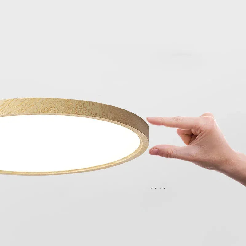 Modern Round Dimmable Ceiling Light