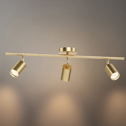 Arcato Minimalist Linear Track Light – Brushed Gold/Matte Black for Living/Study Room