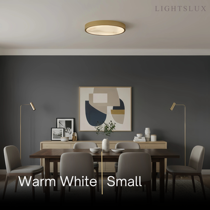 Excelis Modern Alabaster Disc Ceiling Light – Solid Brass Frame Warm Ambient Glow