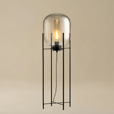 Designer Floor Lamp – Clear Glass & Metal Elliptical Design for Living Room