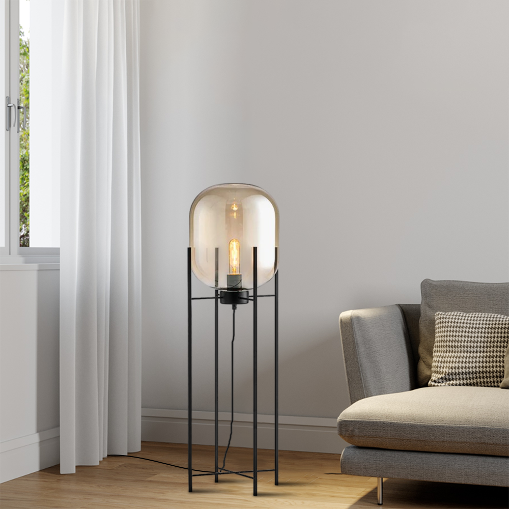 Floor Lamp – Clear Glass & Metal Elliptical Design for Living Room