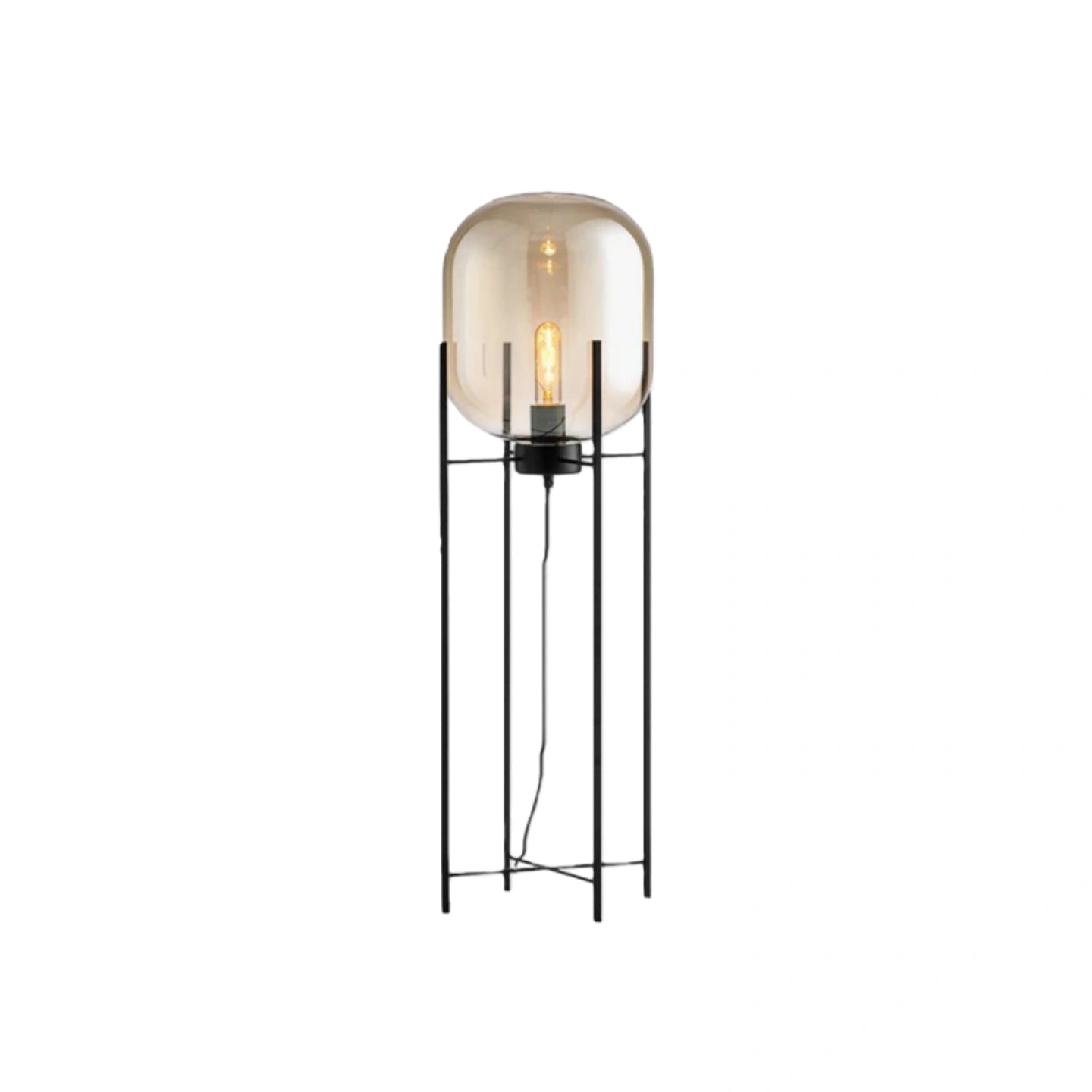 Floor Lamp – Clear Glass & Metal Elliptical Design for Living Room