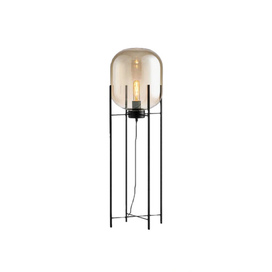 Floor Lamp – Clear Glass & Metal Elliptical Design for Living Room