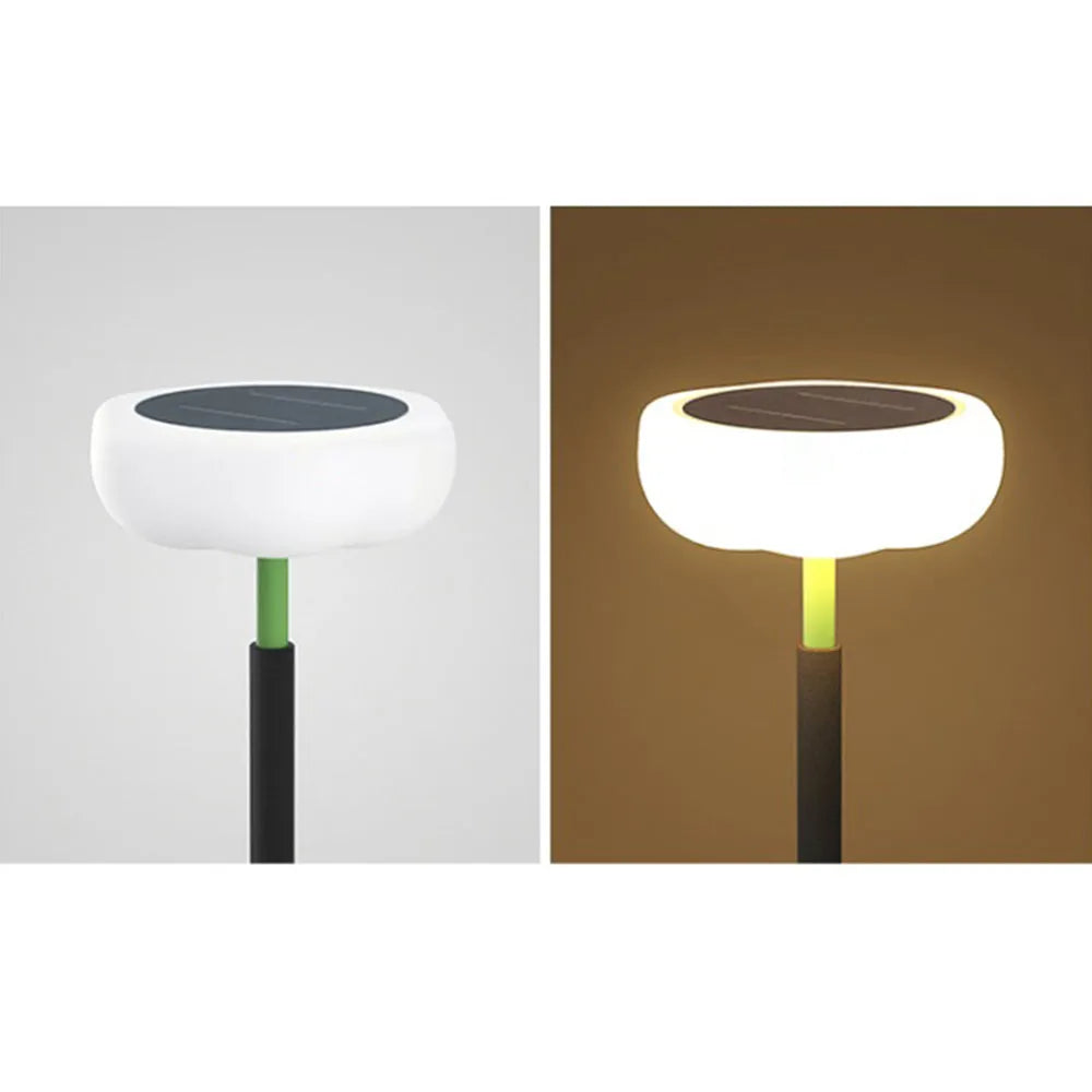 Modern Outdoor Floor Lamp - Black Metal & Acrylic Bowled Design for Courtyard