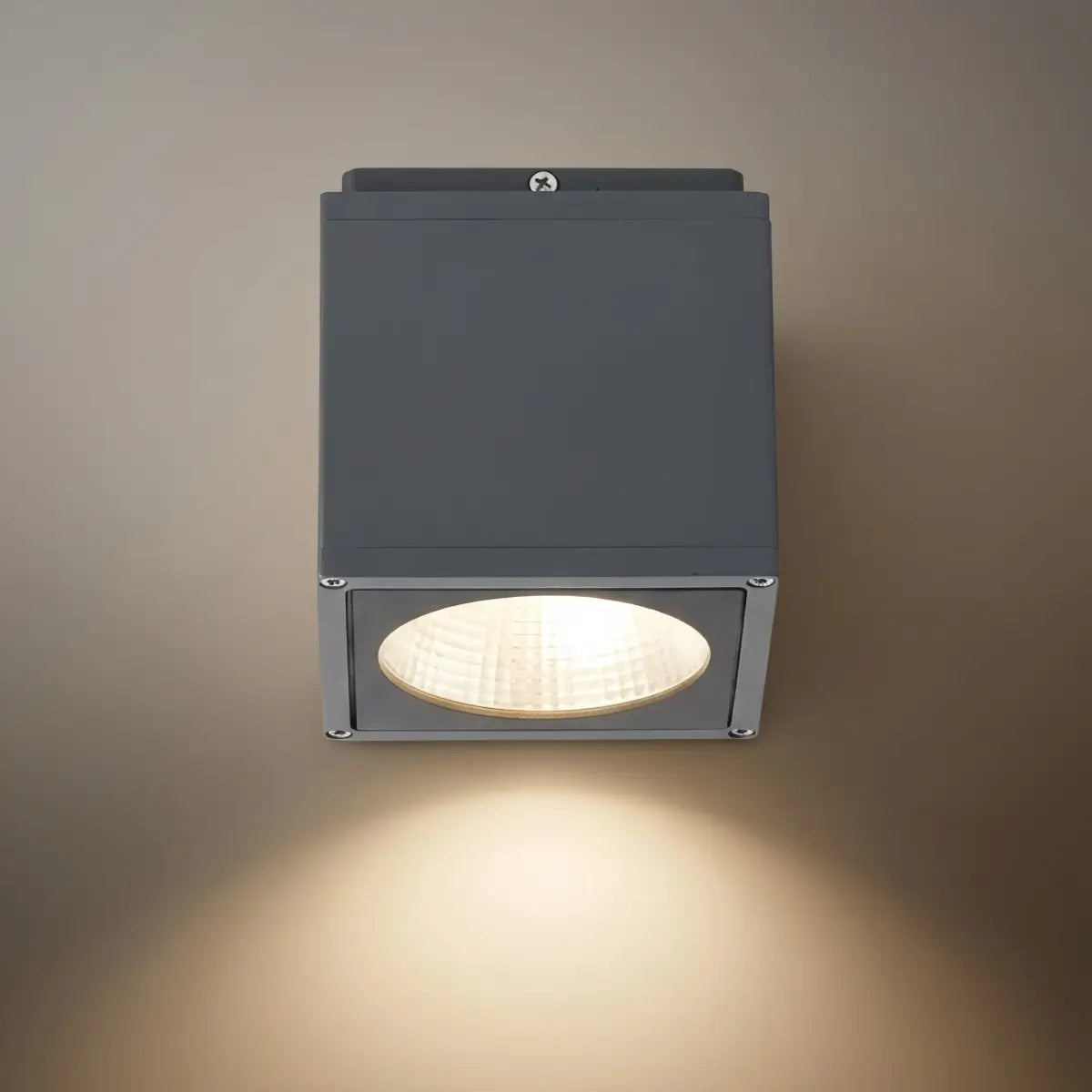 Outdoor_Ceiling_Light