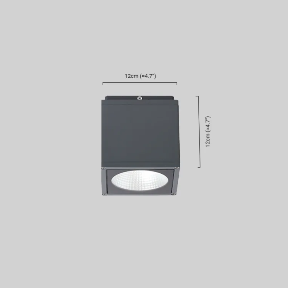 Outdoor Ceiling Light Black