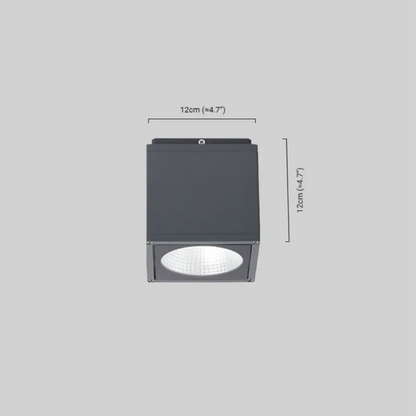 Outdoor Ceiling Light Black
