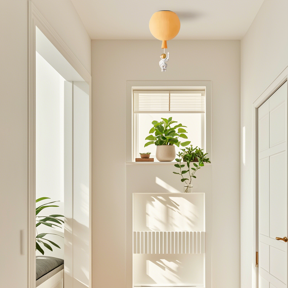 Acrylic Ceiling Light