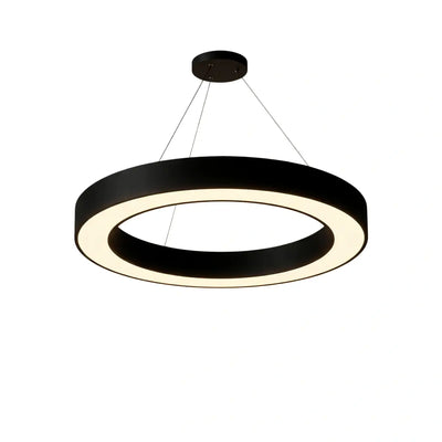 Embrace Modern Ring Pendant Light 