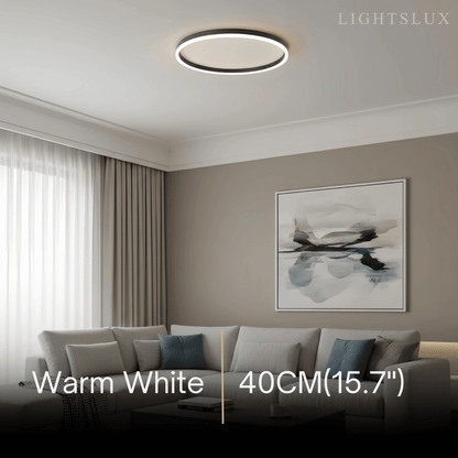 Modern Ring Flush Mount Ceiling Light