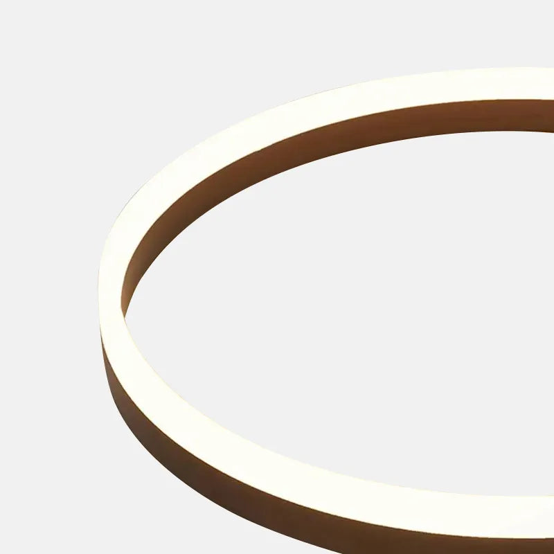 Modern Ring Flush Mount Ceiling Light