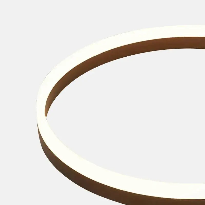 Modern Ring Flush Mount Ceiling Light