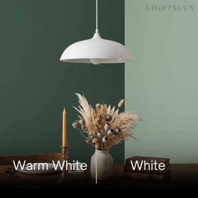 Morandi_Metal_Pendant_Light