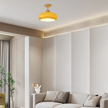  Modern Glass LED Ceiling Light