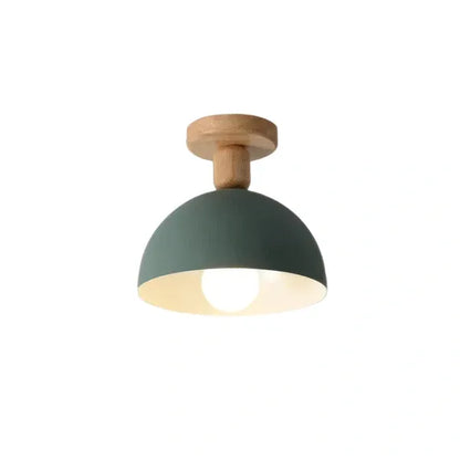 Modern Dome/Bowl Ceiling Light