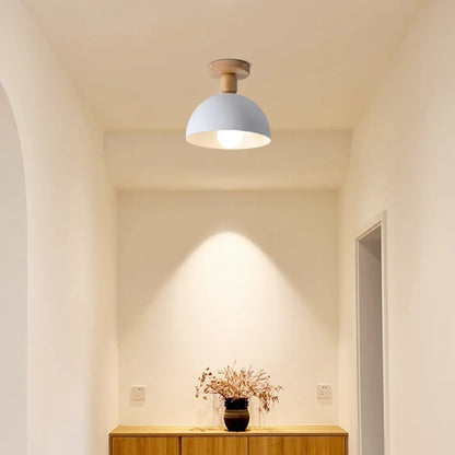 Modern Dome/Bowl Ceiling Light