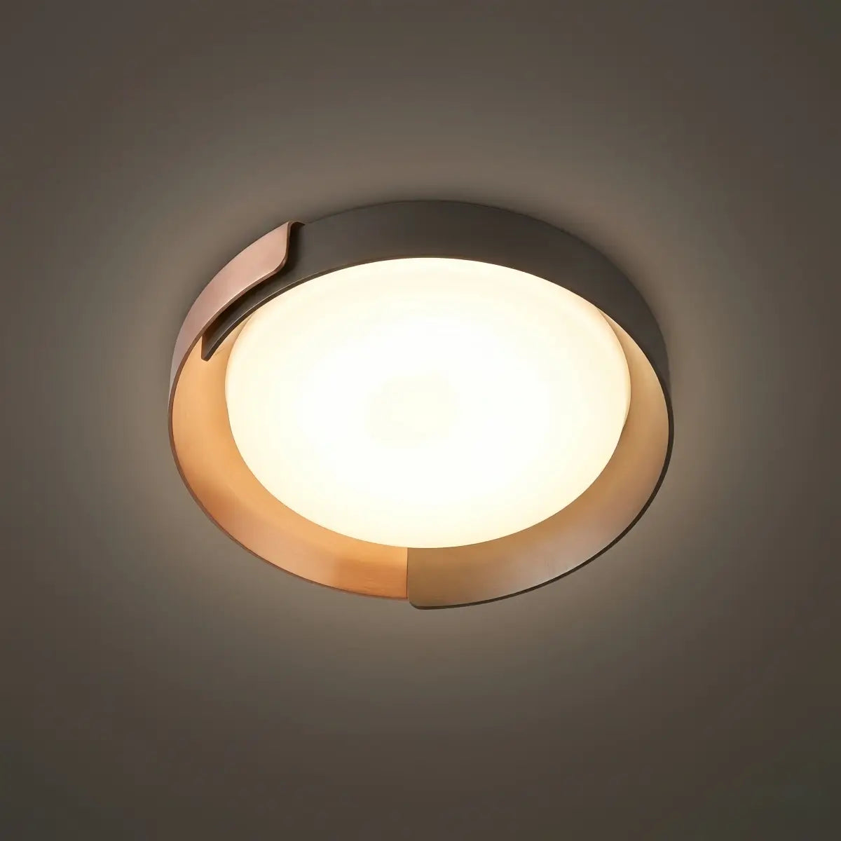 Modern_Round_Flush_Mount_Ceiling_Light