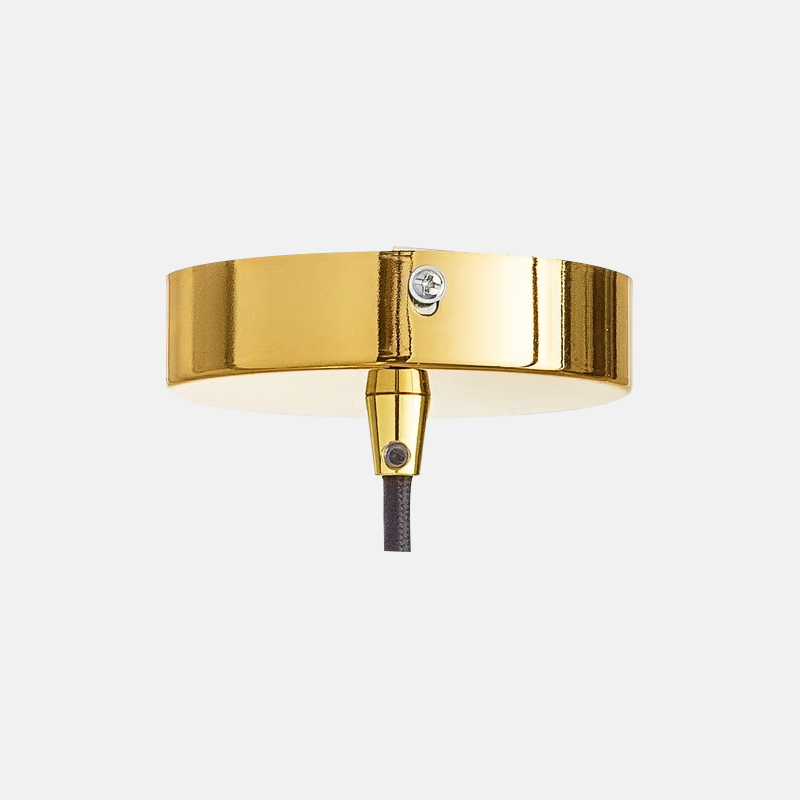 Modern Decorative Pendant Light with Metal Fixture