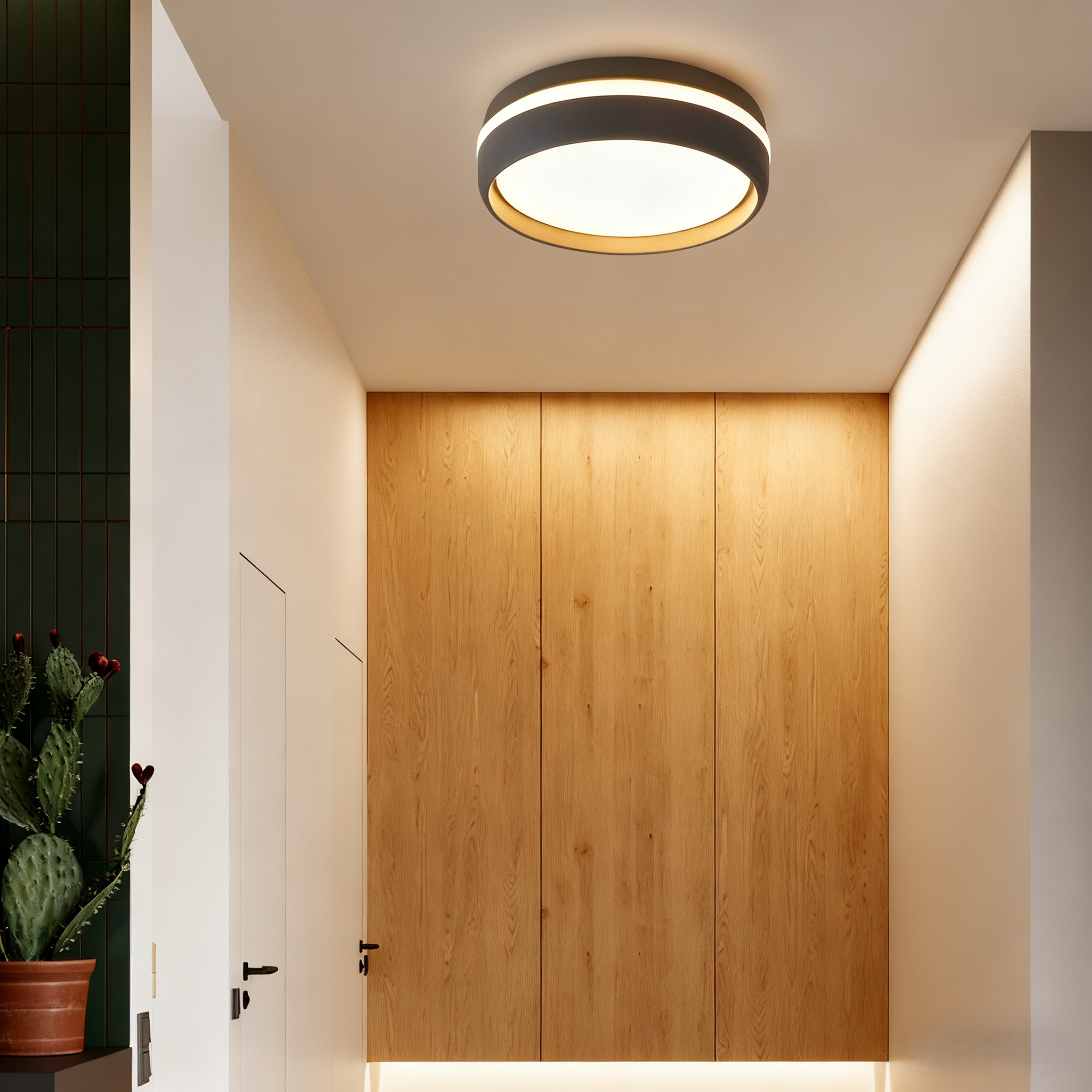 Modern Round Gray Ceiling Light with Warm Light for Entryway