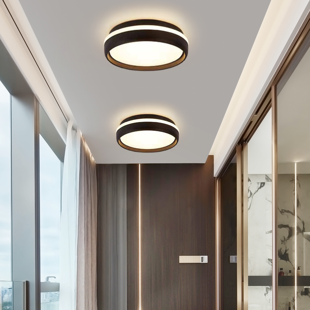 Modern Round Black Ceiling Light with Warm Light for Hallway