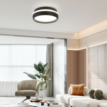Modern Round Black Ceiling Light with White Light for Living Room