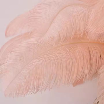 Close-up Pink Feather
