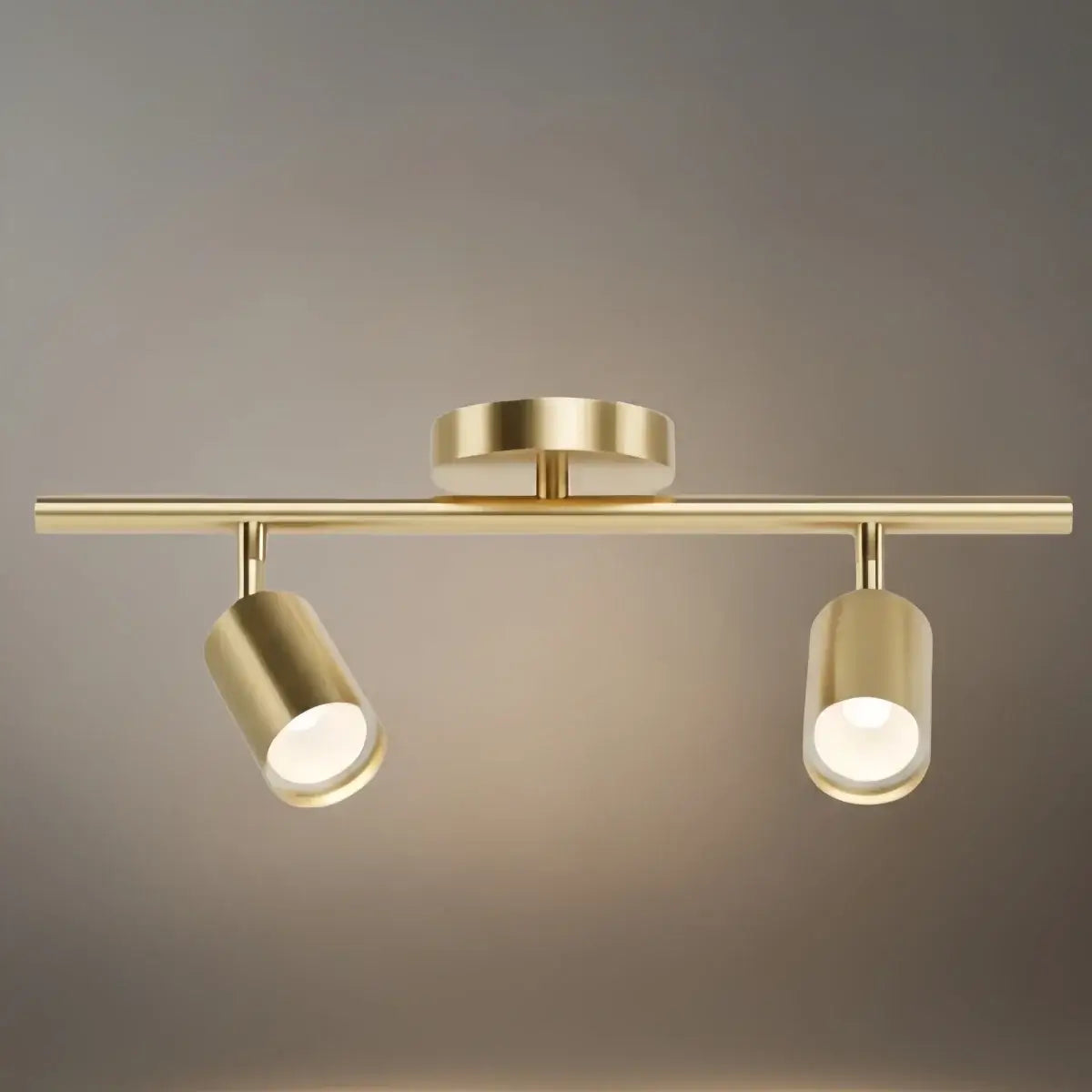 Minimalist Linear Track Light