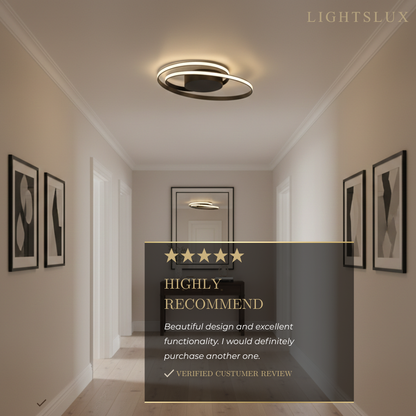 Ceiling Light – Black Ash Iron & Silica Gel Surface Mount for Bedroom