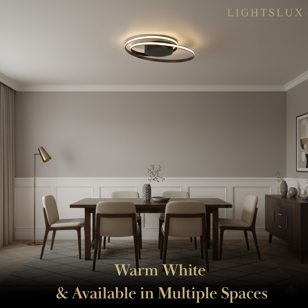 Ceiling Light – Black Ash Iron & Silica Gel Surface Mount for Bedroom