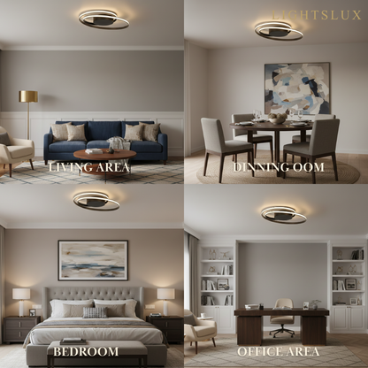 Ceiling Light – Black Ash Iron & Silica Gel Surface Mount for Bedroom