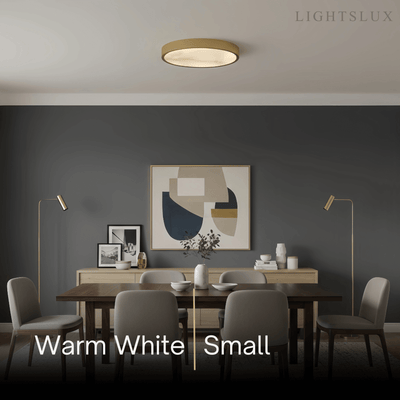 Excelis_Modern_Alabaster_Disc_Ceiling_Light