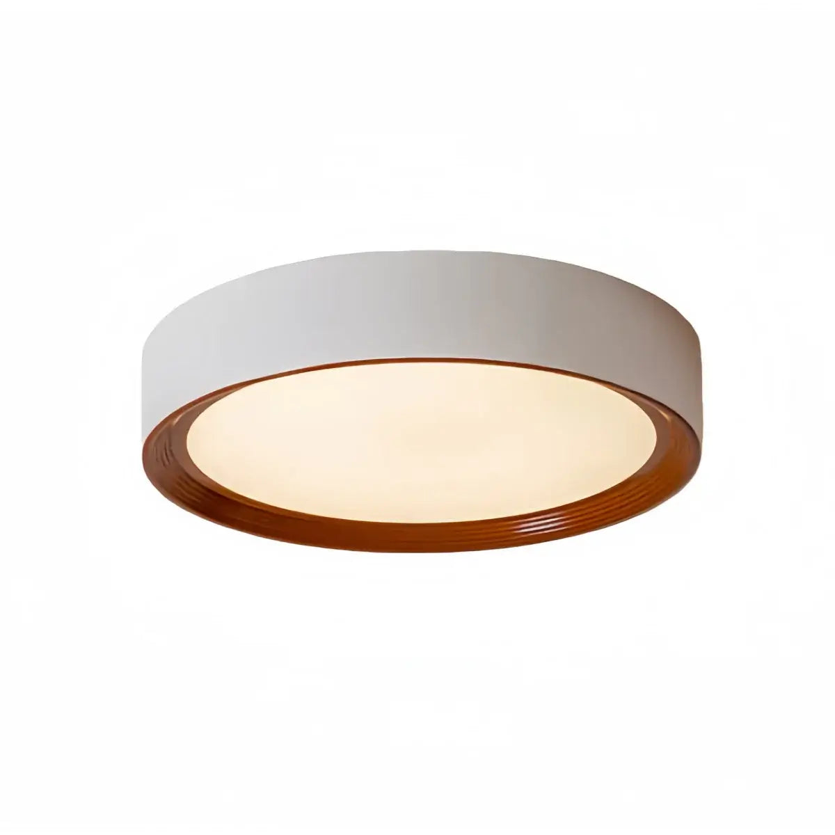 Zenno Modern Flush Mount Ceiling Light
