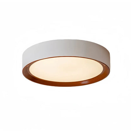 Zenno Modern Flush Mount Ceiling Light