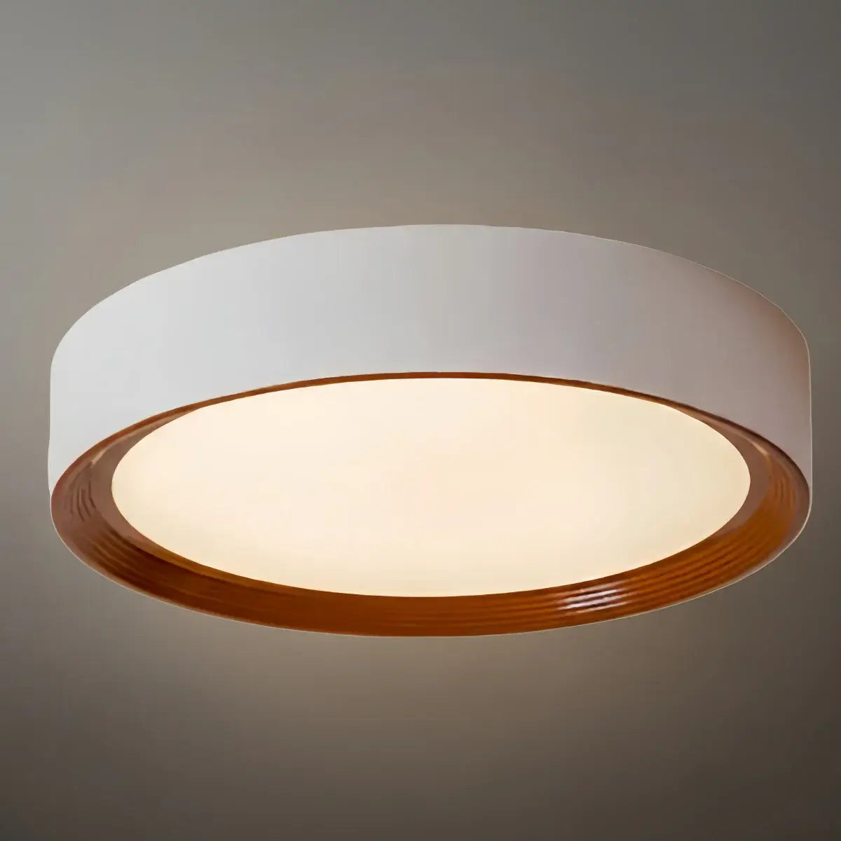 Zenno Modern Flush Mount Ceiling Light