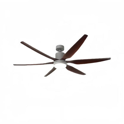 Morandia Modern Ceiling Fan Light 