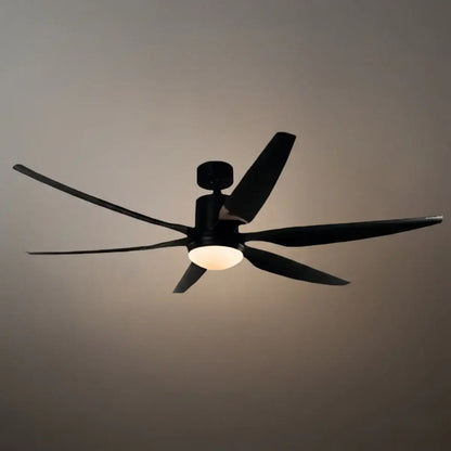 Morandia Modern Ceiling Fan Light 